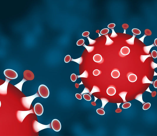 Coronavirus & Your Immune System