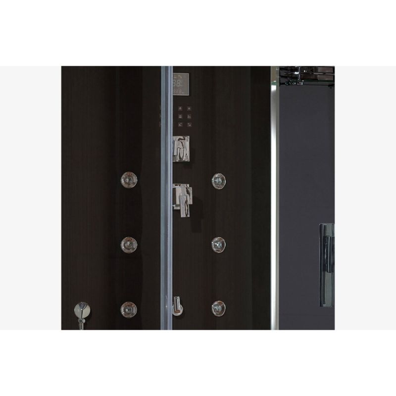 Platinum DZ956F8 Steam Shower-Black-massage jets