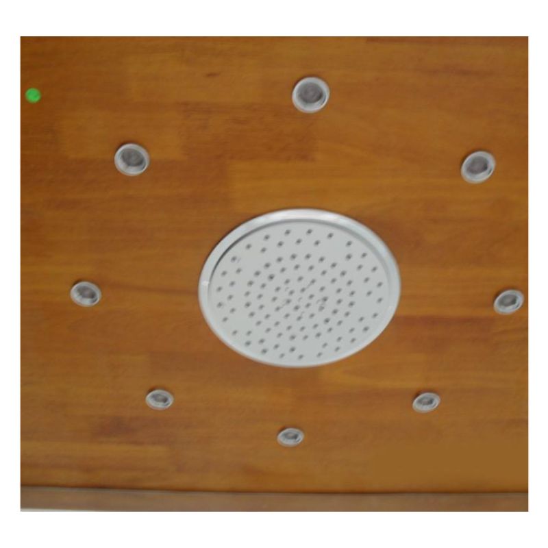 Athena WS-109 - 47 x 35 Steam Shower 4.5 kW - rainfall shower head