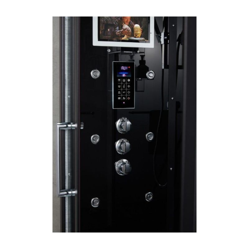 Maya Bath Anzio 209 Steam Shower - control panel