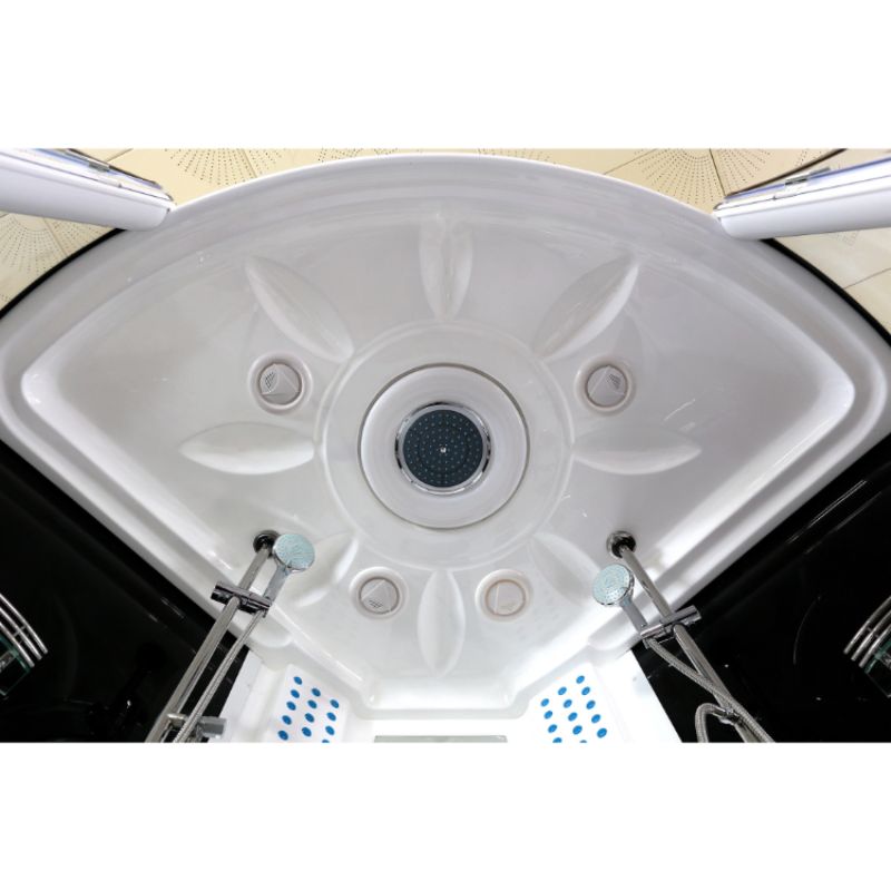 Maya Bath Platinum Superior Steam Shower & Tub Combo - view of rainfall shower head