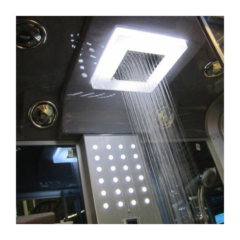 Mesa WS-502L Steam Shower-Rainfall Showerhead