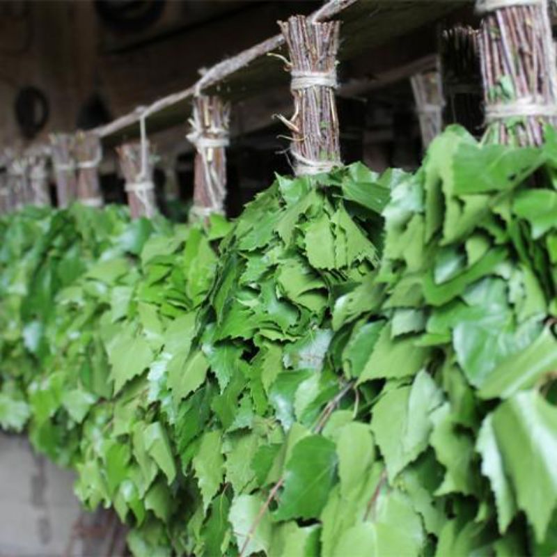 Birch Whisk for Steam Sauna