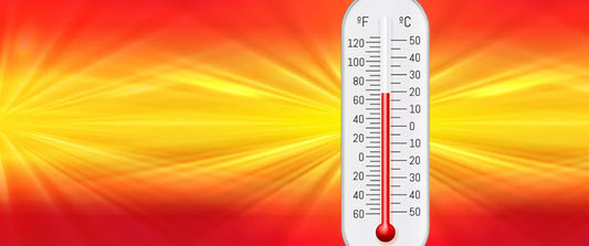 How Cancer Cells React to High Temperatures