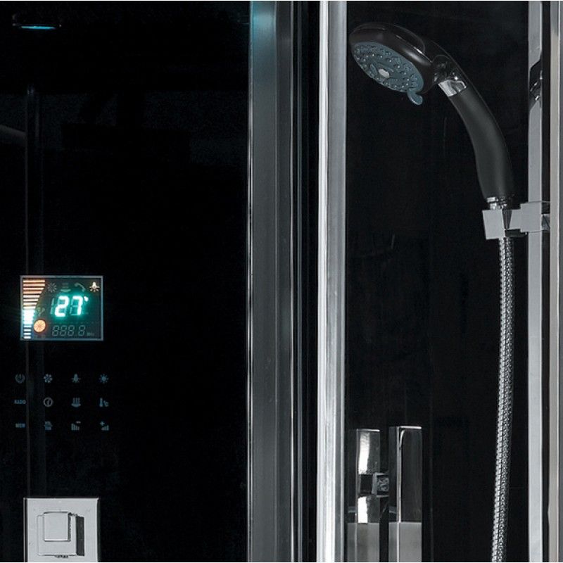Ariel Platinum DA333 Luxury Steam Shower and Jet Tub - interior and handheld shower head